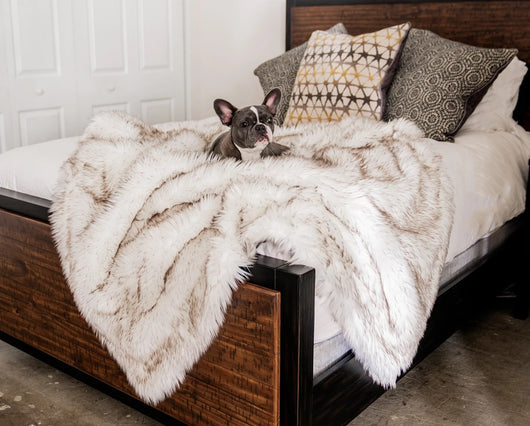 Cama Térmica Premium para Perros - Almohadilla Gruesa de Invierno - Image 16