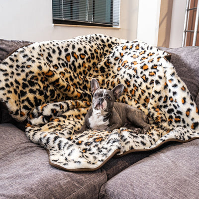 Cama Térmica Premium para Perros - Almohadilla Gruesa de Invierno - Image 22