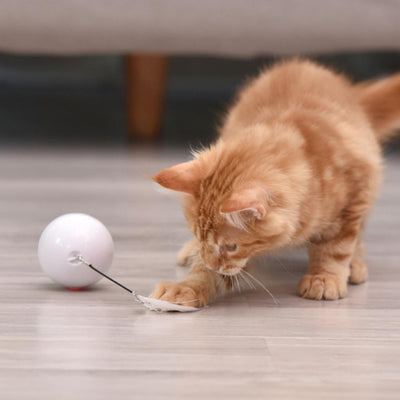 Blue LED Magic Ball pet toy for cats, packaged with batteries, measuring 6.4cm, on a white background. - Image 28