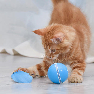 Blue LED Magic Ball pet toy for cats, packaged with batteries, measuring 6.4cm, on a white background. - Image 29
