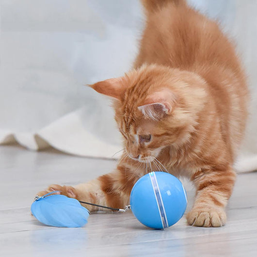 Blue LED Magic Ball pet toy for cats, packaged with batteries, measuring 6.4cm, on a white background. - Image 29