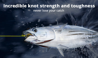 Línea de Pesca KastKing - Resistencia y Confiabilidad Premium - Image 6