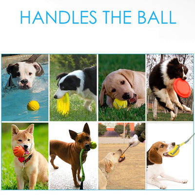 Bright yellow EVA pet ball dog toy with textured grooves and paw print details for interactive play. - Image 17