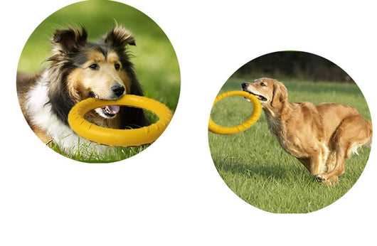 Bright yellow EVA pet ball dog toy with textured grooves and paw print details for interactive play. - Image 18