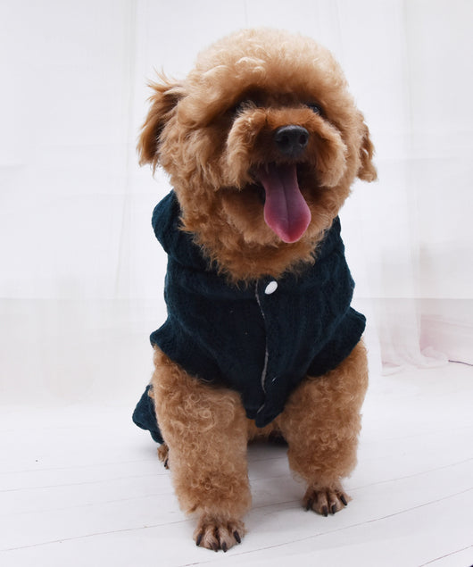 Ropa Térmica para Mascotas de Cuatro Patas - Image 30