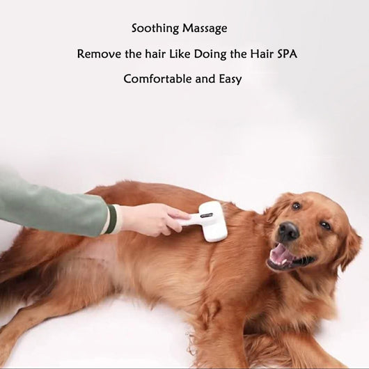 Kit Profesional de Aseo Canino para Perros Grandes - Image 7