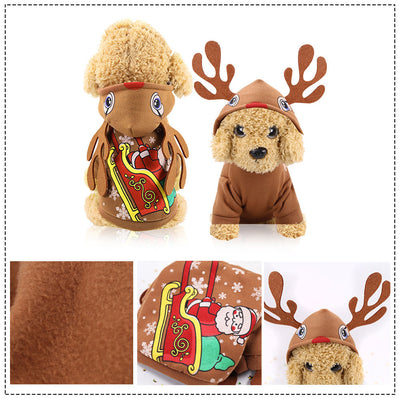 Ropa y Accesorios para Mascotas - Image 19