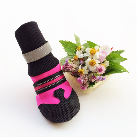 Botas Impermeables para Perros Grandes y Medianos - Image 21