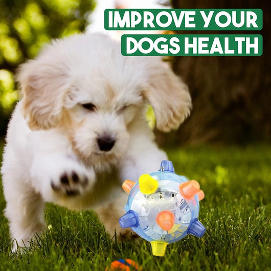 Three colorful translucent dancing ball glowing toys with rubber nubs in pink, blue, and green for pets. - Image 13
