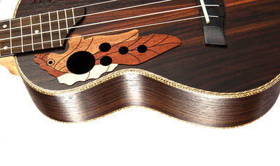 Ukelele Pequeño - Guitarra Compacta para Principiantes - Image 13