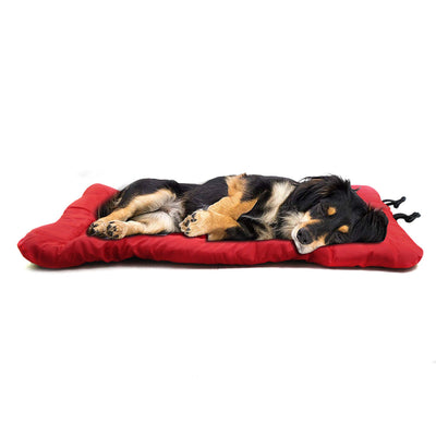 Cama Plegable para Perros - Cojín Enrollable y Portátil - Image 12