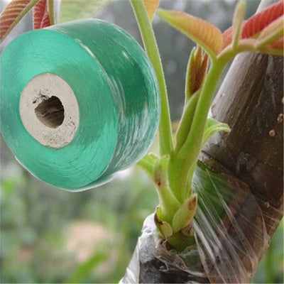 Cinta de Injerto para Árboles Frutales - Rollo 2CM x 100M - Image 8