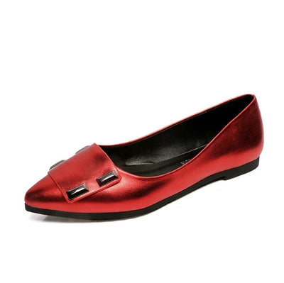 Zapatos Planos de Punta Fina y Boca Baja - Image 16