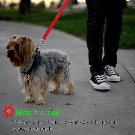 Correa de Seguridad para Mascotas - Image 10