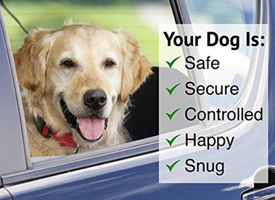Correa de Seguridad para Mascotas - Image 12