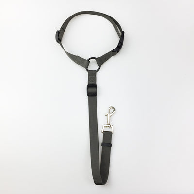 Correa de Seguridad para Mascotas - Image 16