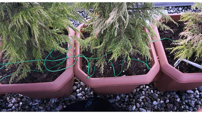 Sistema de Riego por Goteo Automático con Controlador Inteligente para Jardín - Image 13