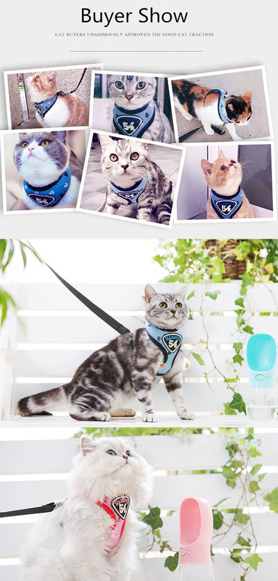 Arnés y Correa de Tracción en Nylon para Mascotas - Image 8