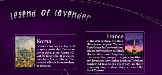 Aceite Esencial de Lavanda ARTISCARE - Image 6