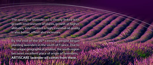 Aceite Esencial de Lavanda ARTISCARE - Image 9