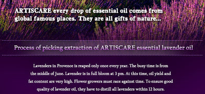 Aceite Esencial de Lavanda ARTISCARE - Image 10