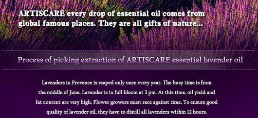 Aceite Esencial de Lavanda ARTISCARE - Image 10
