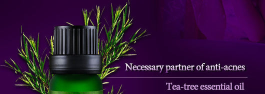 Aceite Esencial de Lavanda ARTISCARE - Image 15
