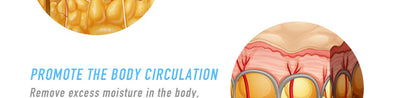 Crema Reductora Abdominal y Cintura - Quemagrasas Intensivo - Image 11