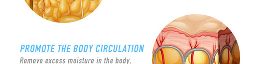 Crema Reductora Abdominal y Cintura - Quemagrasas Intensivo - Image 11