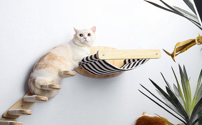 Centro de Juegos Felino Multinivelado de Madera de Pino con Hamaca y Cápsula - Image 10