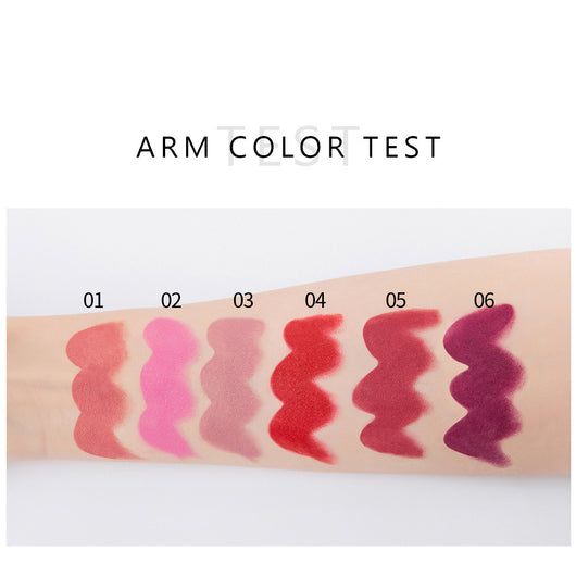 Set de Labiales Mate Premium Anti-transferencia con Estuche de Regalo - Image 9