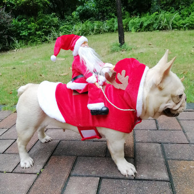 Disfraz Navideño para Perros - Papá Noel en Trineo - Image 19