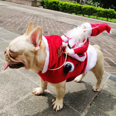 Disfraz Navideño para Perros - Papá Noel en Trineo - Image 20
