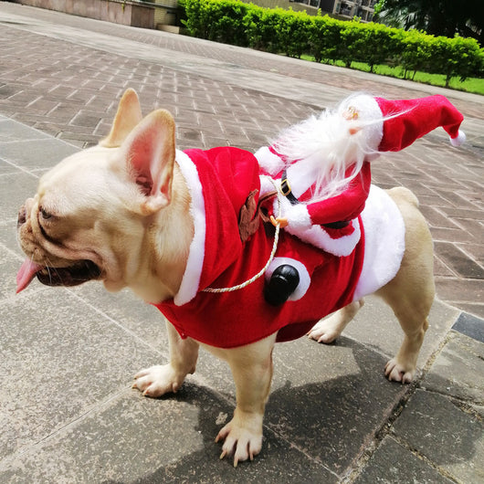 Disfraz Navideño para Perros - Papá Noel en Trineo - Image 20