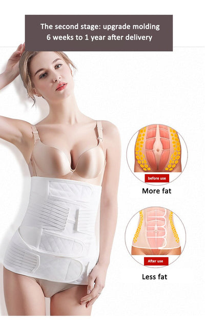 Faja Abdominal de Cuatro Puntos de Sujeción - Image 15