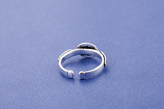 Anillo Literario - Image 10