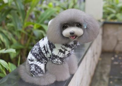 Ropa para Perros de Cuatro Patas - Diseño Elegante Ante - Image 16