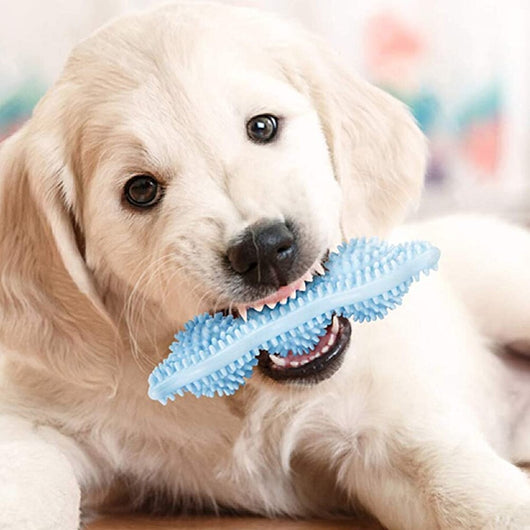Light green pea pod shaped dog chew toy with textured nubs for teeth cleaning and bite resistance. - Image 12