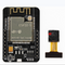 ESP 32