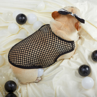 Chaleco de Malla Transpirable para Perros - Image 17