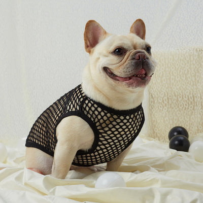 Chaleco de Malla Transpirable para Perros - Image 18