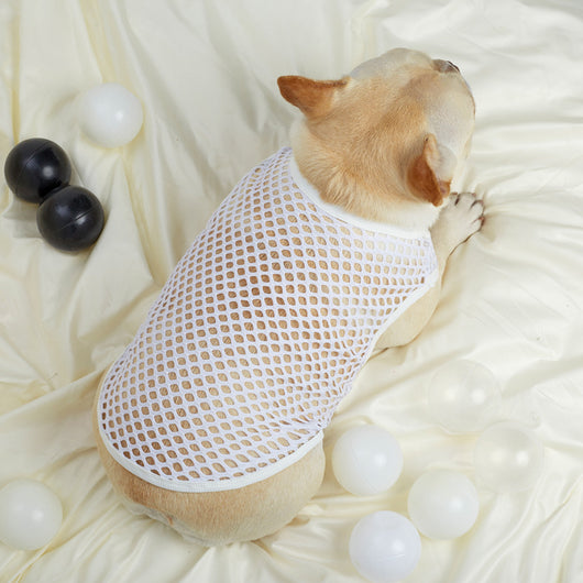 Chaleco de Malla Transpirable para Perros - Image 21
