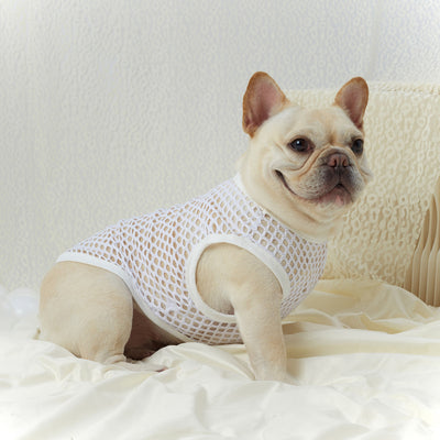 Chaleco de Malla Transpirable para Perros - Image 22