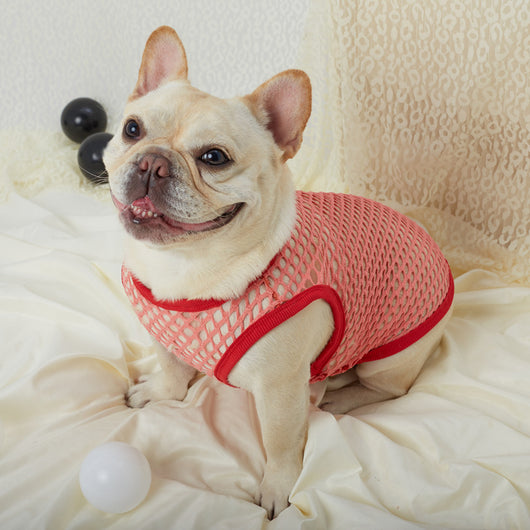 Chaleco de Malla Transpirable para Perros - Image 30
