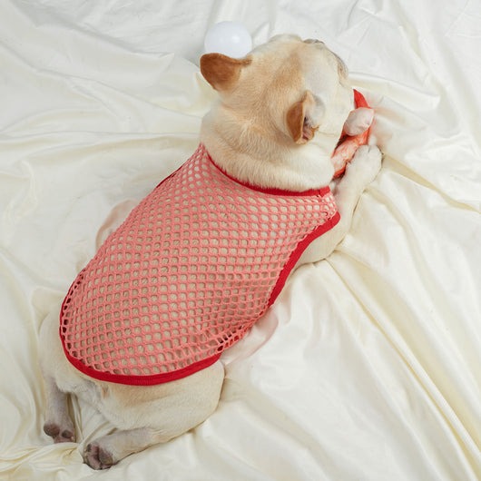 Chaleco de Malla Transpirable para Perros - Image 32