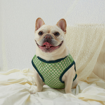 Chaleco de Malla Transpirable para Perros - Image 33