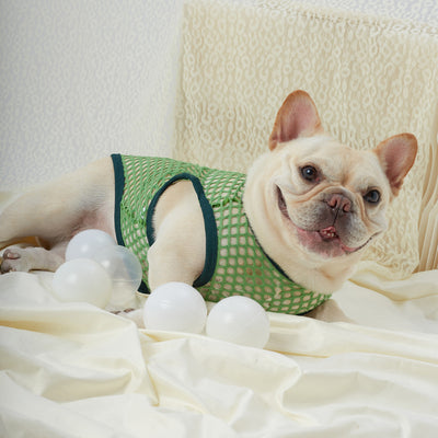 Chaleco de Malla Transpirable para Perros - Image 35