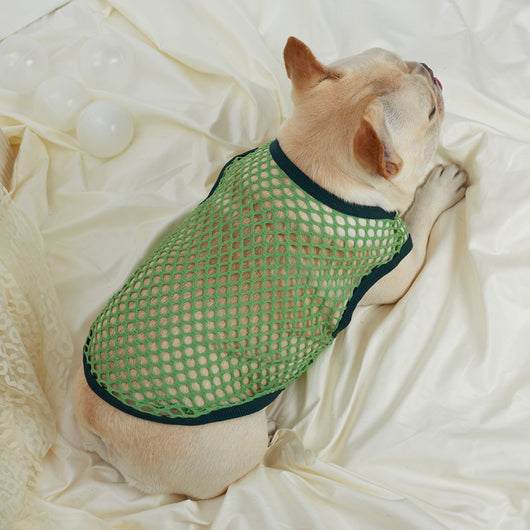 Chaleco de Malla Transpirable para Perros - Image 36