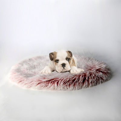 Cama Redonda Acogedora para Mascotas con Manta Térmica - Image 16