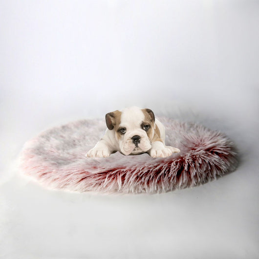 Cama Redonda Acogedora para Mascotas con Manta Térmica - Image 16